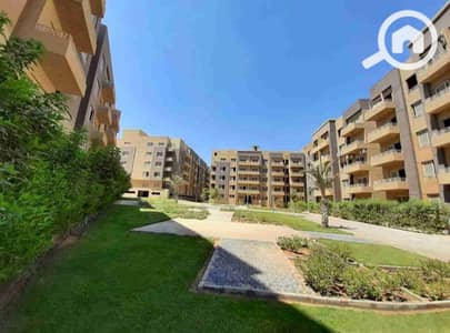 2 Bedroom Flat for Rent in New Cairo, Cairo - 1000091869. jpg