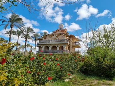 3 Bedroom Villa for Rent in King Mariout, Alexandria - امتداد الكينج بجوار مطار اسكندرية