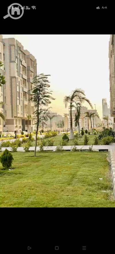 فلیٹ 3 غرف نوم للايجار في القاهرة الجديدة، القاهرة - 17411. jpg