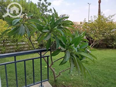 فیلا 2 غرفة نوم للايجار في القاهرة الجديدة، القاهرة - WhatsApp Image 2025-08-11 at 4.57. 31 PM. jpeg