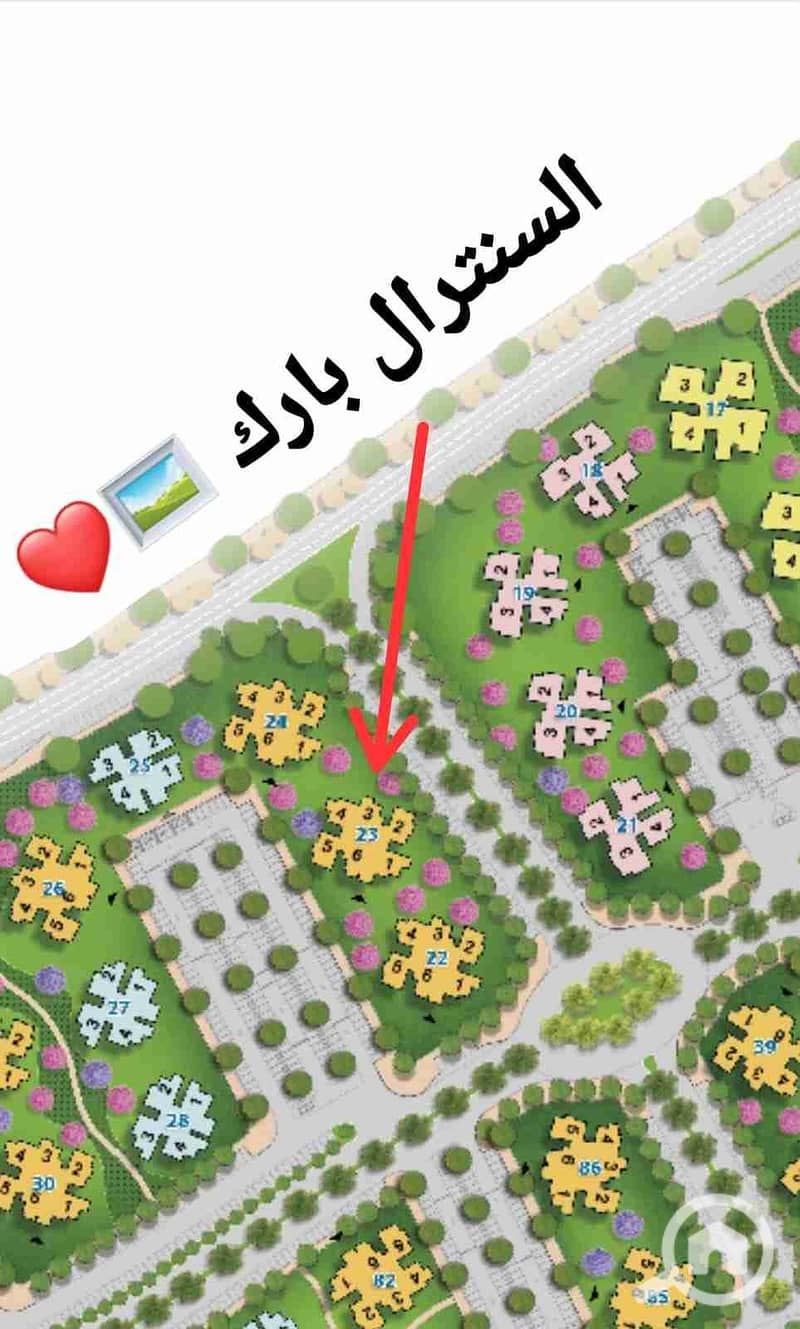 3 1000046735. jpg