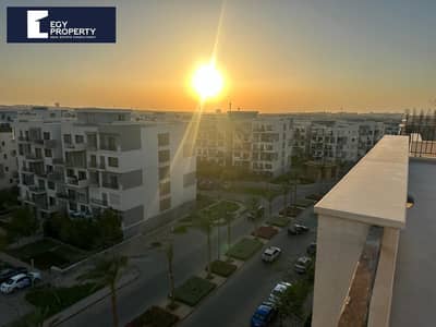 1 Bedroom Flat for Rent in New Cairo, Cairo - _files_1be05cbc-888c-4904-8fdd-d8cc8ed674f6. jpeg