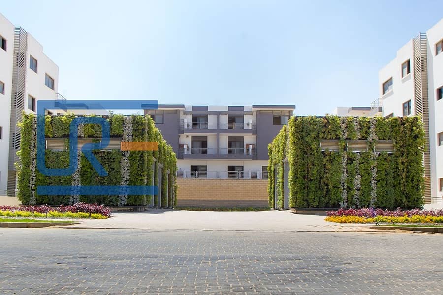8 tag_sultan_greenwalls10. jpg