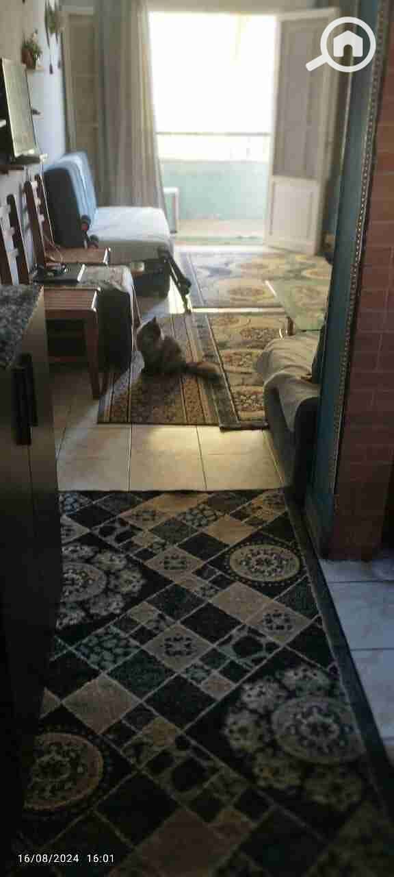2 IMG-20250515-WA0033. jpg