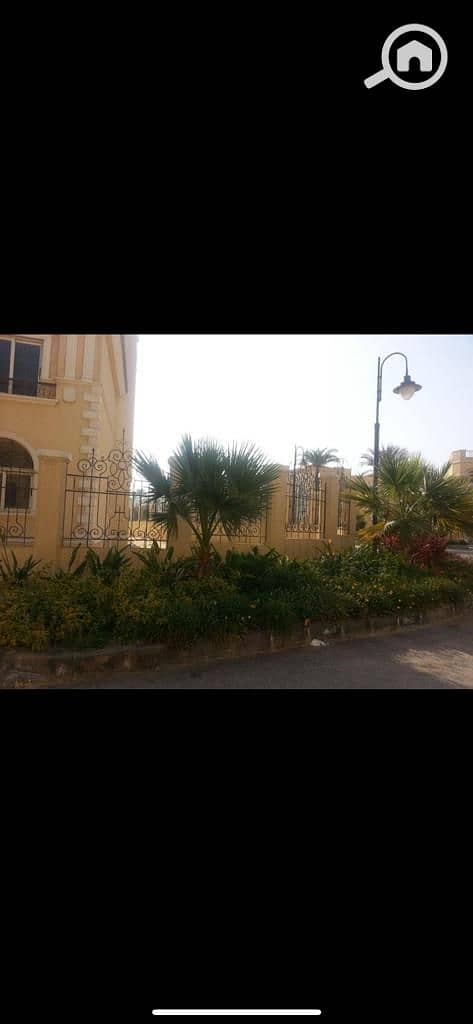 4 WhatsApp Image 2025-09-01 at 11.48. 04_fcac3247. jpg
