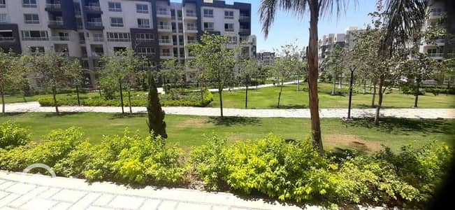3 Bedroom Apartment for Rent in Madinaty, Cairo - 4c4d9e4d-56b9-4497-9ff0-71f2df4f5ecf. jpeg