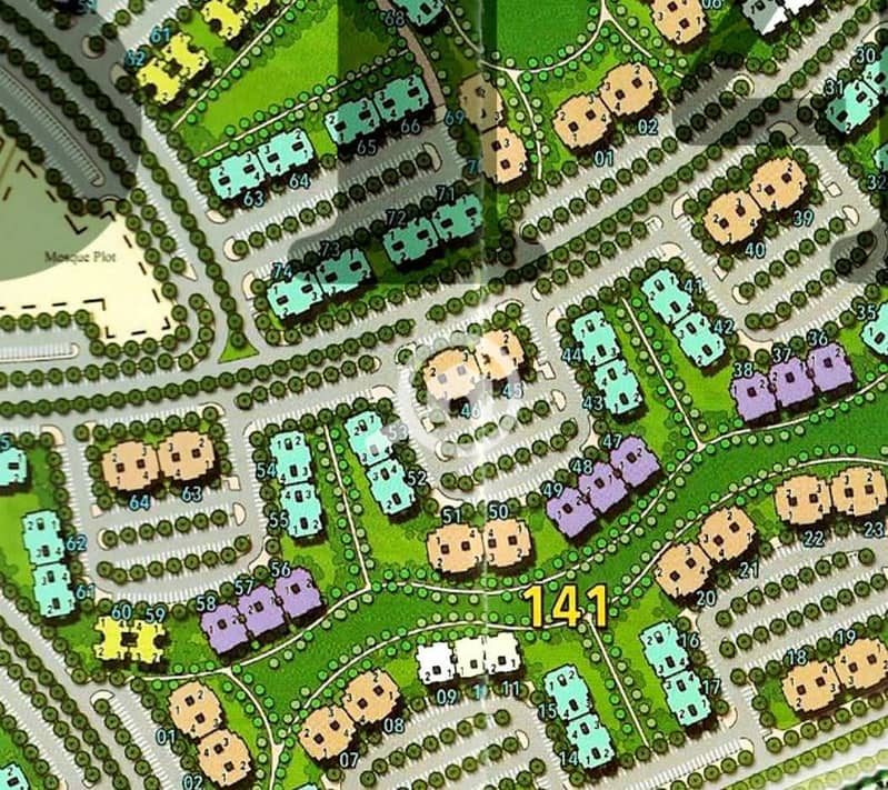 5 1000411840. jpg