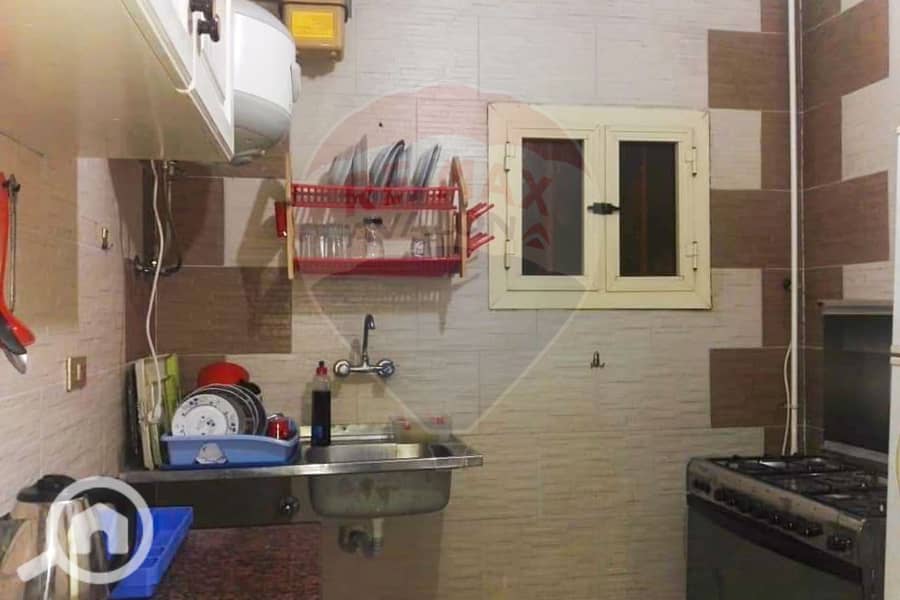 5 5. jpg