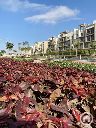 3 Bedroom Apartment for Sale in New Cairo, Cairo - 13. jpeg