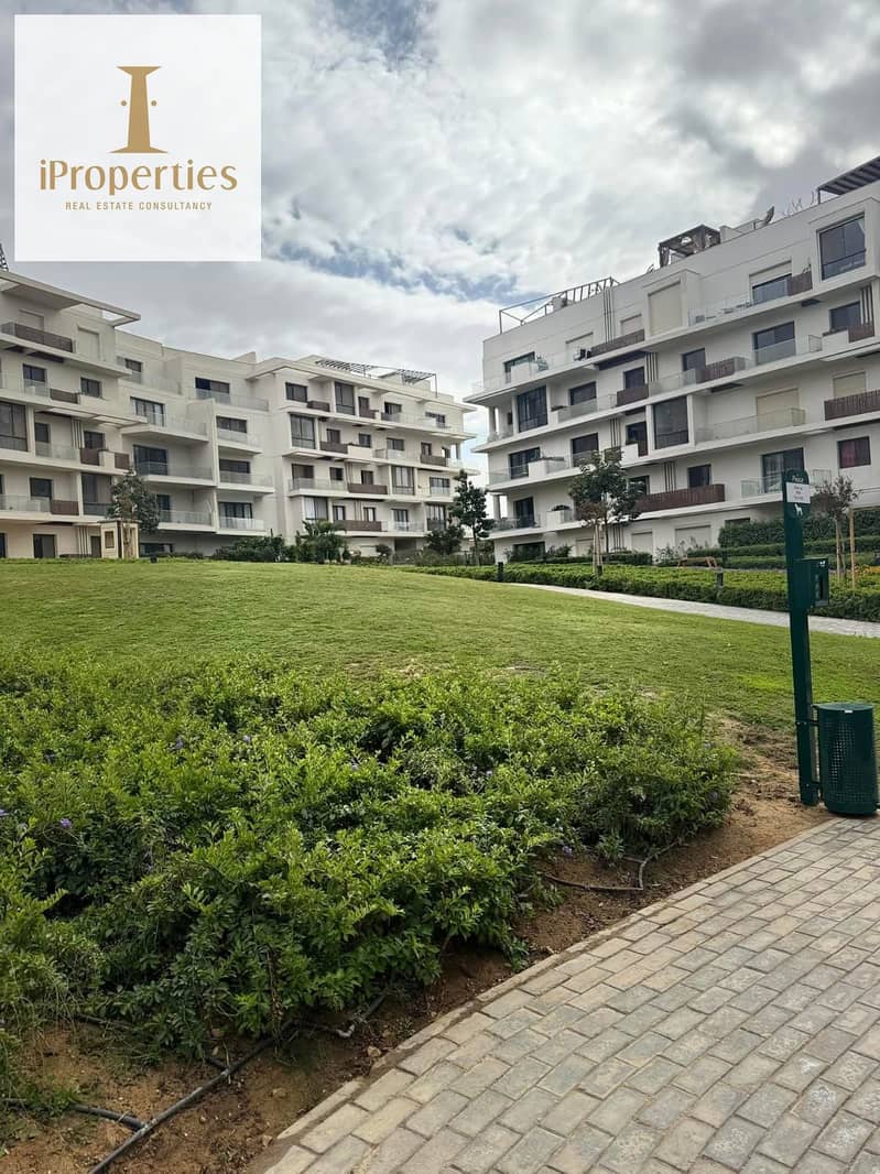 7 7475599b-ae50-4526-b78a-5b8993866dd6. jpg