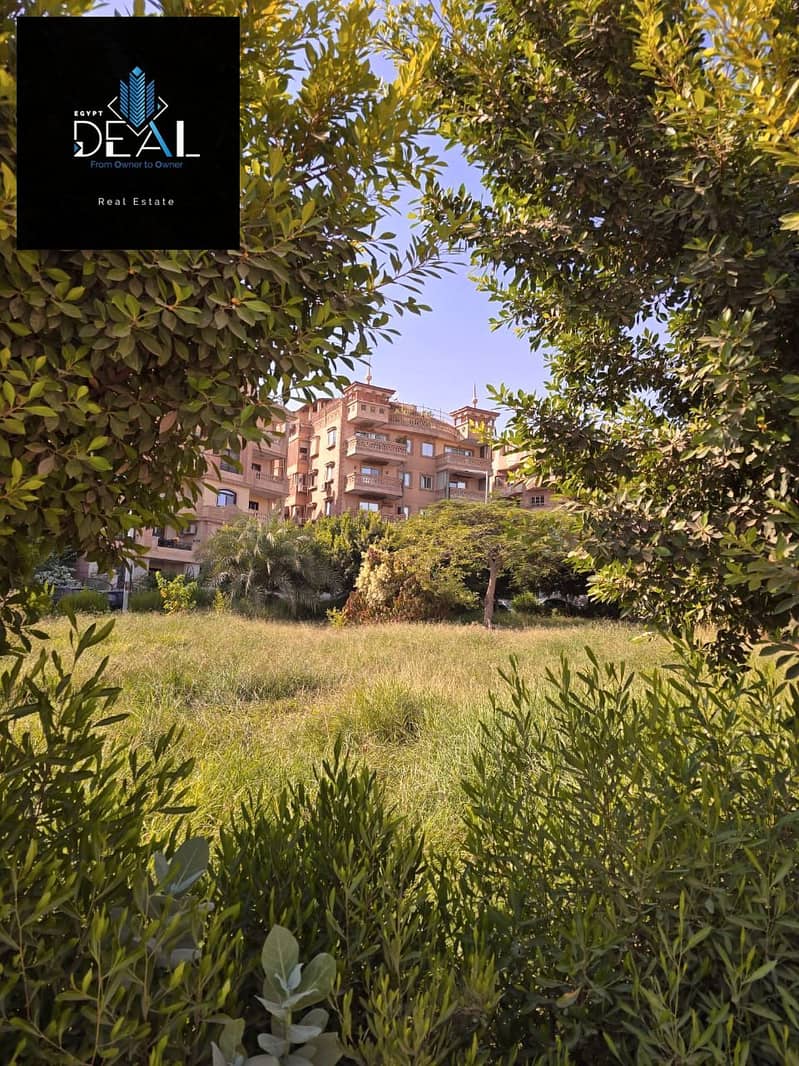2 صورة واتساب بتاريخ 2025-09-01 في 17.55. 41_ab03d6d7. jpg