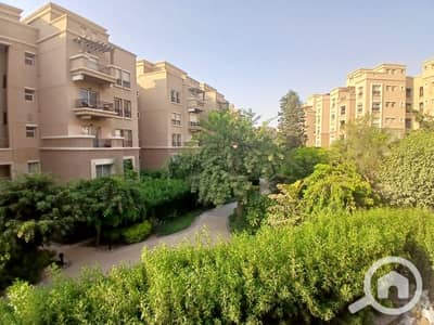 3 Bedroom Flat for Rent in New Cairo, Cairo - WhatsApp Image 2025-08-13 at 7.30. 04 PM. jpeg