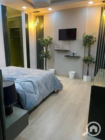 3 Bedroom Flat for Sale in New Cairo, Cairo - WhatsApp Image 2025-06-11 at 4.29. 56 PM (5). jpeg