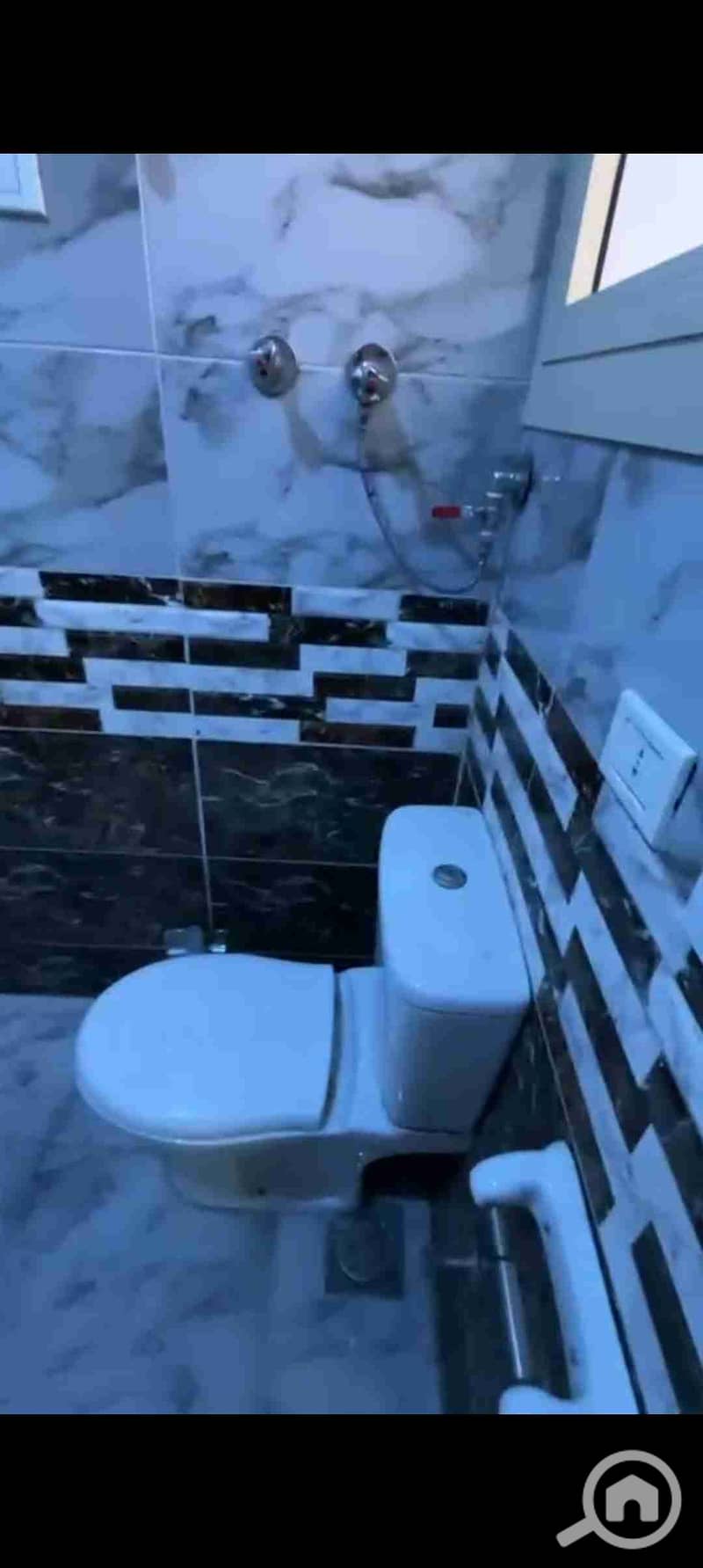 8 1000033781. jpg