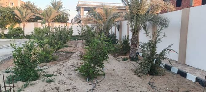6 Bedroom Villa for Sale in 6th of October, Giza - فيلا للبيع داخل كمبوند الريف الاوروبي