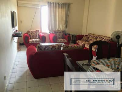 شقة 2 غرفة نوم للايجار في القاهرة الجديدة، القاهرة - WhatsApp Image 2025-09-01 at 2.22. 42 PM. jpeg