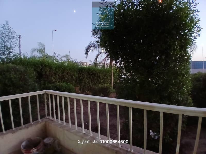 6 ٢٠٢٥٠٩٠١_١٩٣٣٠٦. jpg