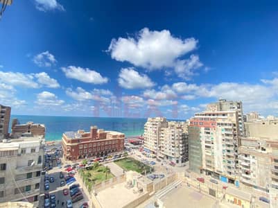 شقة 3 غرف نوم للايجار في شاطبي، الإسكندرية - 01. jpeg