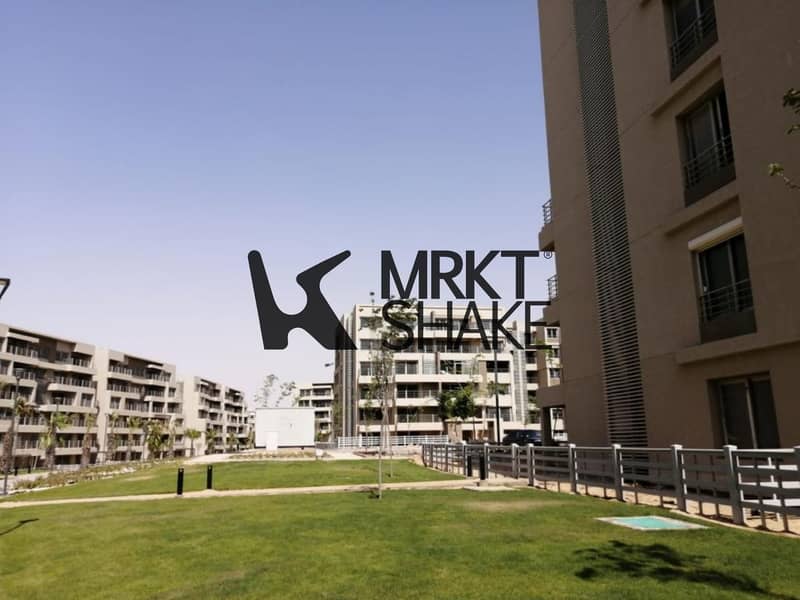 Capital Gardens Live Pictures (1)_page-0004. jpg