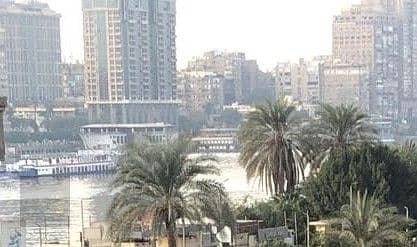 3 Bedroom Apartment for Sale in Al Manial, Cairo - WhatsApp Image 2025-09-02 at 4.34. 50 PM (1). jpeg