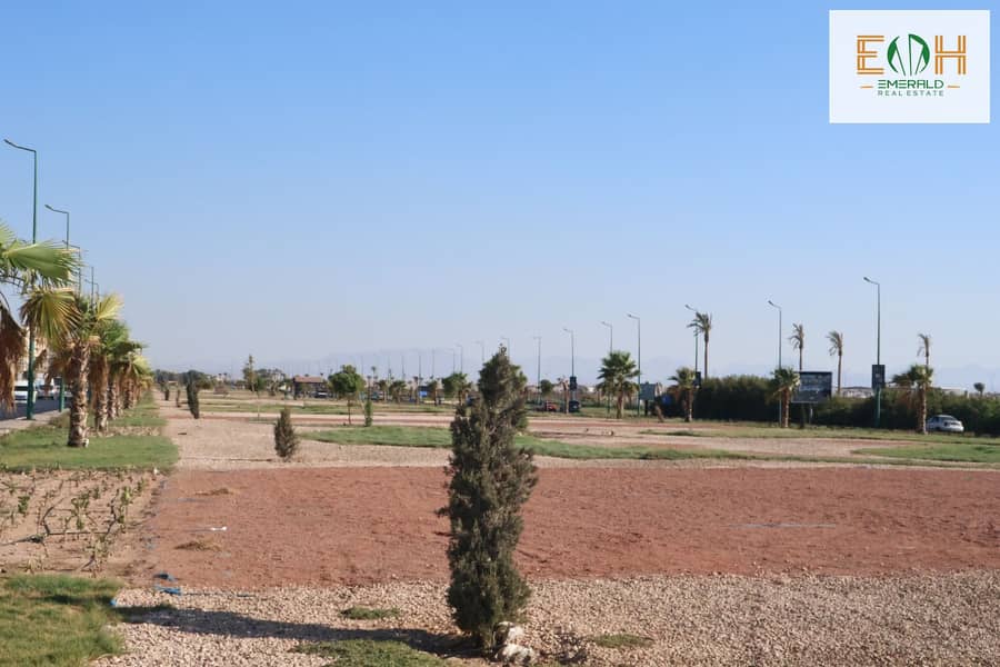 7 IMG_0228 - Copy - Copy. jpg