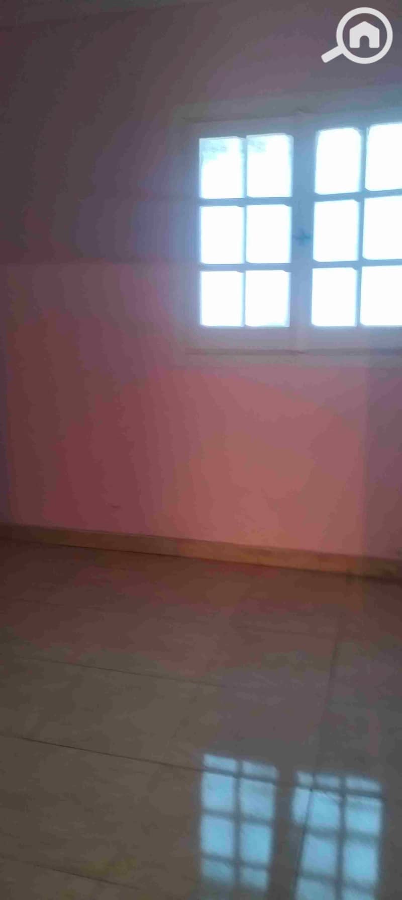 8 1000248809. jpg