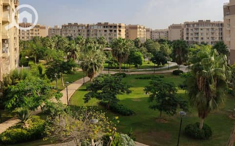 3 Bedroom Flat for Sale in Madinaty, Cairo - WhatsApp Image 2025-09-02 at 6.35. 33 PM (1). jpeg
