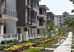 3 1117689-131d5o. jpg