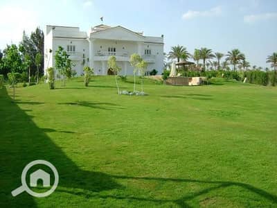 فیلا 9 غرف نوم للبيع في القاهرة الجديدة، القاهرة - 117F9B6D-F115-4E0C-A65E-088307FDBF01. jpeg