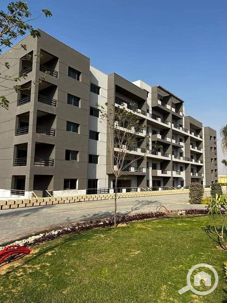 8 393784655_230301423393846_208316204848214850_n. jpg