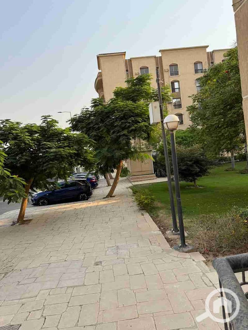 5 1001964430. jpg