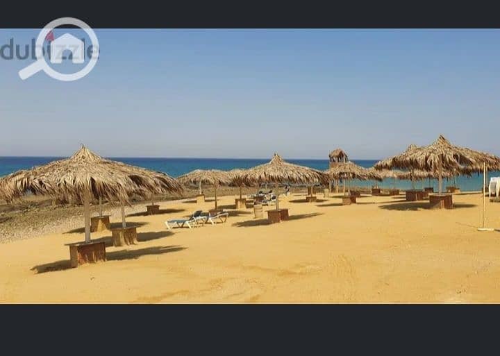 15 Screenshot_٢٠٢٤٠٤٢٥_٠٠١٣١٣_edit_28855991835658. jpg