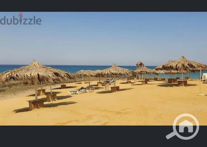 16 Screenshot_٢٠٢٤٠٤٢٥_٠٠١٣١٣_edit_28855991835658. jpg