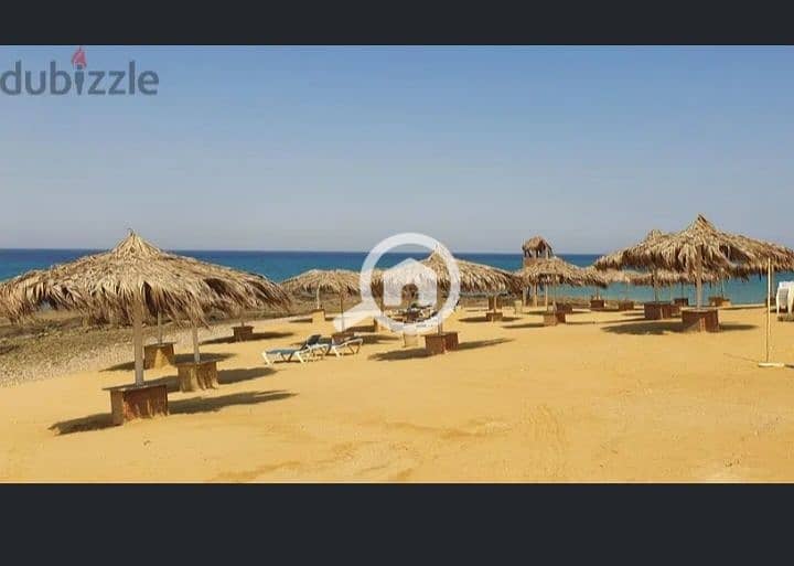 9 Screenshot_٢٠٢٤٠٤٢٥_٠٠١٣١٣_edit_28855991835658. jpg