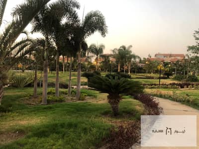 3 Bedroom Villa for Rent in Madinaty, Cairo - WhatsApp Image 2025-09-02 at 10.01. 56 PM. jpeg