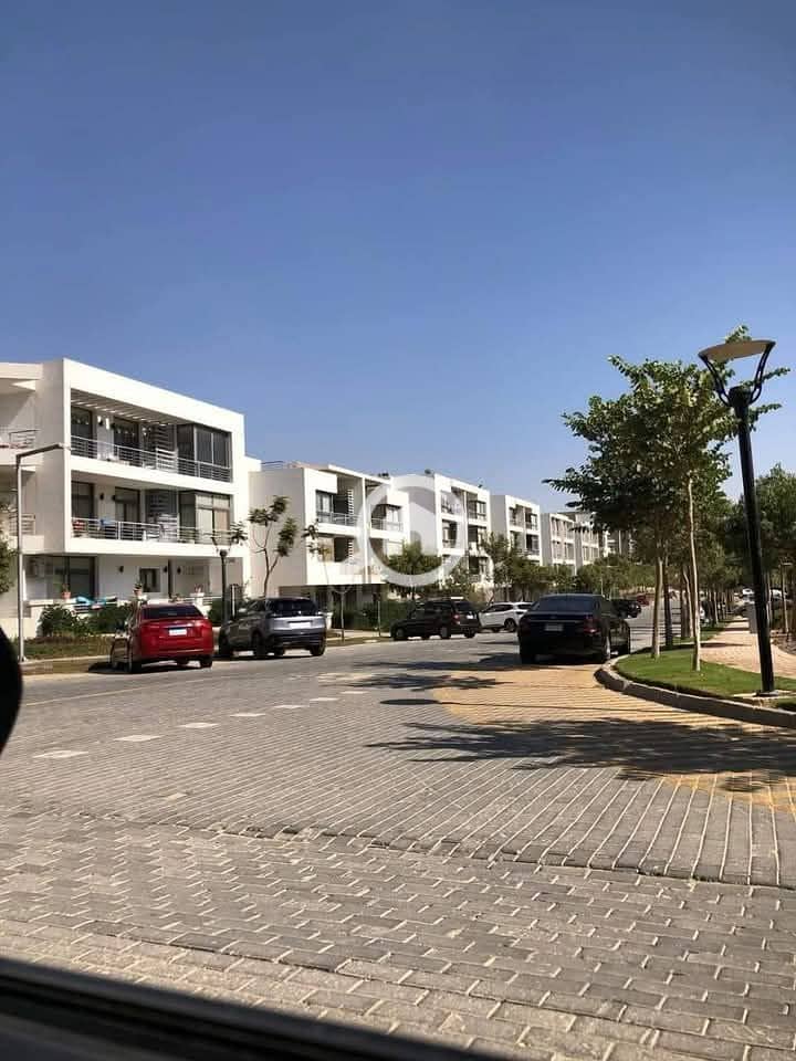 6 butterfly mostakbal city new cairo. jpg