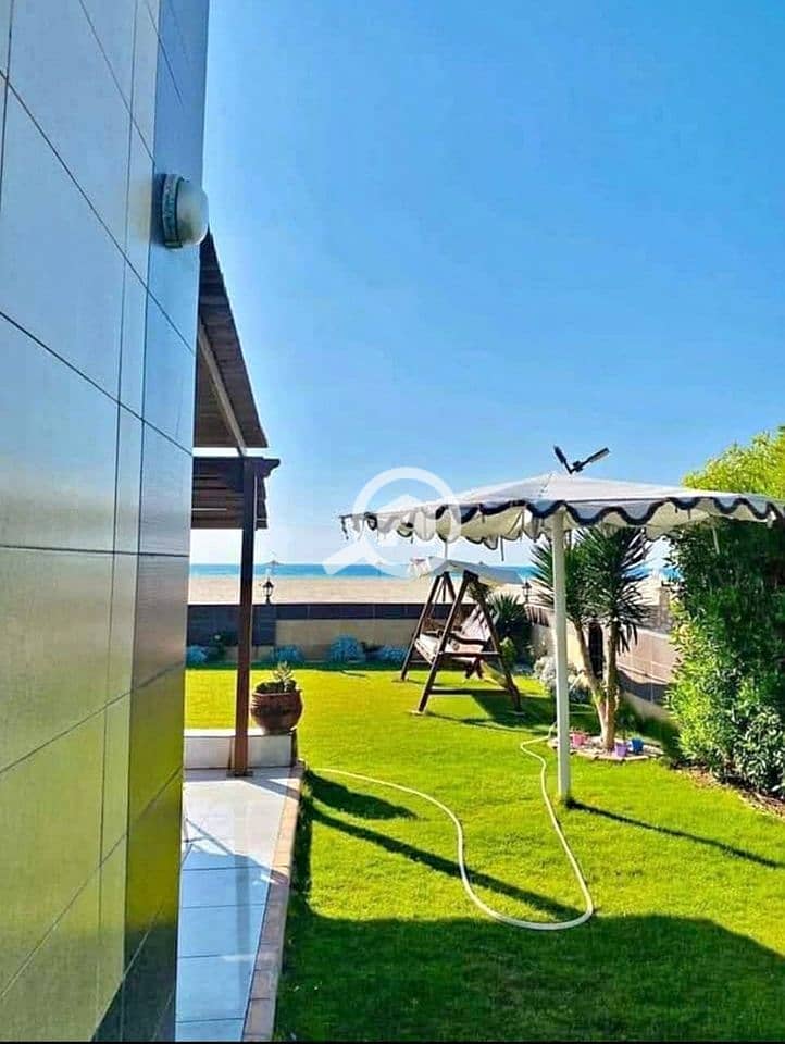 5 WhatsApp Image 2025-02-16 at 3.06. 22 PM (1). jpeg