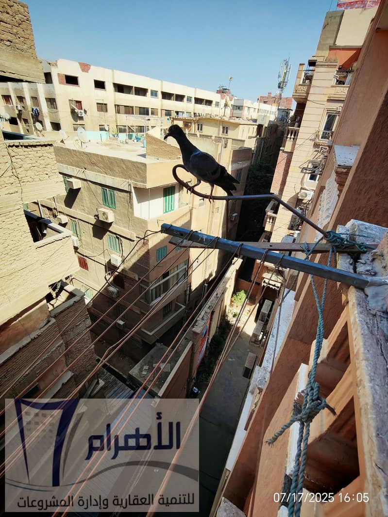 15 519454201_1045908924353975_4273482117904898133_n. jpg