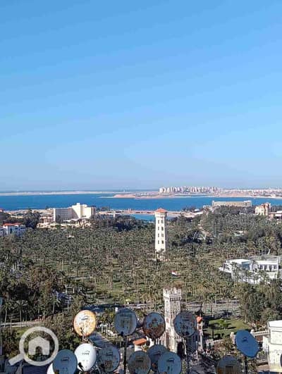 2 Bedroom Hotel Apartment for Rent in Mandara, Alexandria - 1000763077. jpg