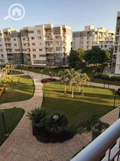 2 Bedroom Apartment for Rent in Madinaty, Cairo - WhatsApp Image 2025-03-11 at 3.30. 15 PM (1). jpeg 2 Bedroom Apartment for Rent in Madinaty, Cairo - WhatsApp Image 2025-03-11 at 3.30. 15 PM (1). jpeg