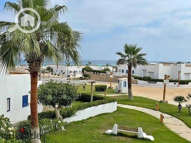 12 WhatsApp Image 2025-06-24 at 4.47. 44 PM. jpeg