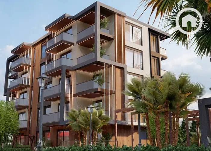 8 510634104_2369757636740245_8943966082442233747_n. jpg