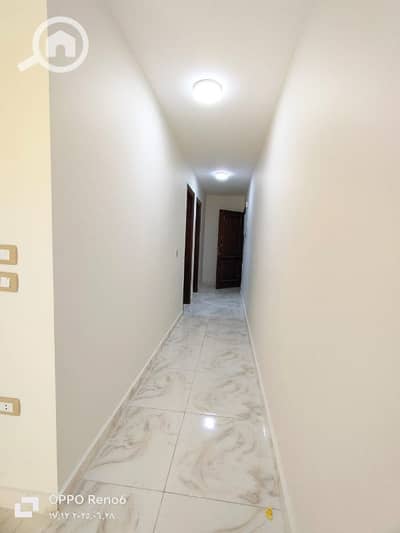 مکتب  للايجار في رشدي، الإسكندرية - مقر إدارى للإيجار في رشدي ١٠٠م