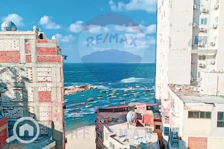 2 Bedroom Apartment for Sale in Miami, Alexandria - WhatsApp Image 2025-08-26 at 7.11. 46 PM. JPG