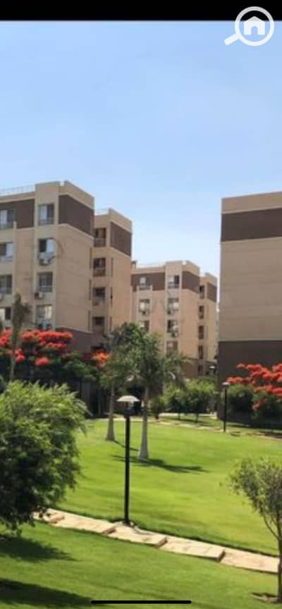 2 Bedroom Flat for Rent in Madinaty, Cairo - IMG_6354. png