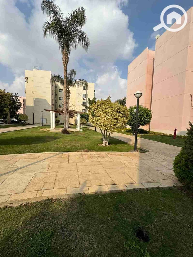 8 1001965935. jpg