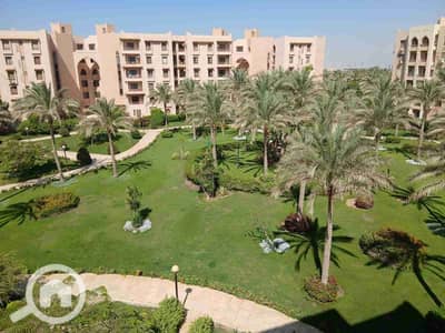 فلیٹ 2 غرفة نوم للايجار في القاهرة الجديدة، القاهرة - 1000048861. jpg