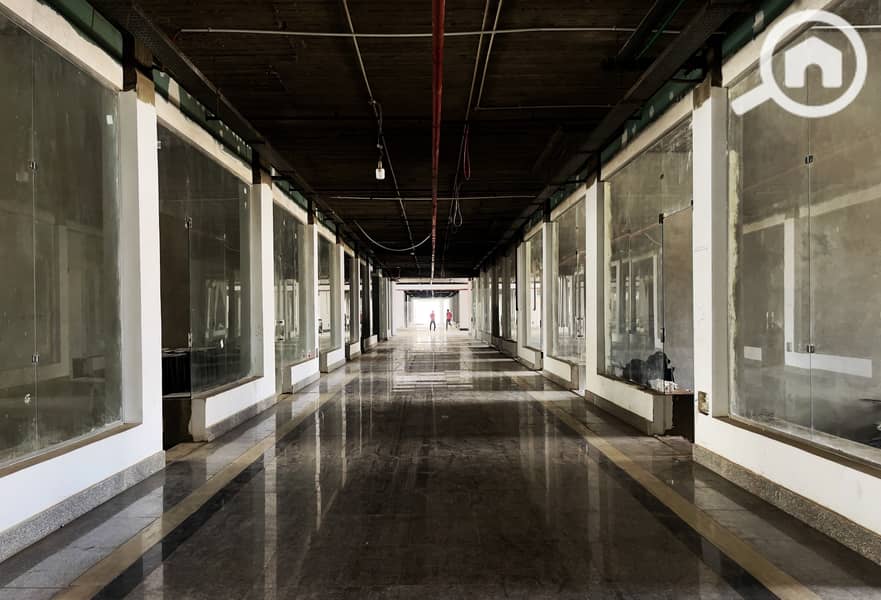 5 1-50 cropped 1. jpg