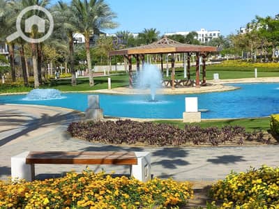فلیٹ 2 غرفة نوم للايجار في القاهرة الجديدة، القاهرة - WhatsApp Image 2025-01-12 at 12.34. 55 PM (1). jpeg