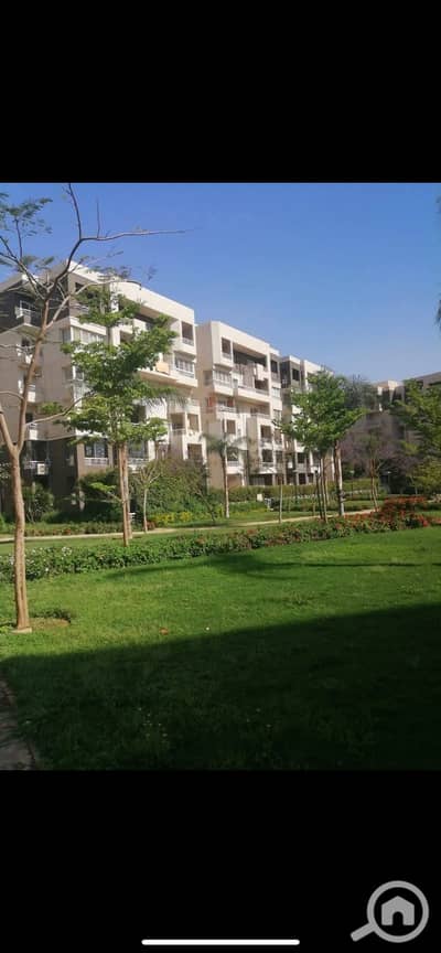 3 Bedroom Apartment for Rent in Madinaty, Cairo - IMG_6355. png